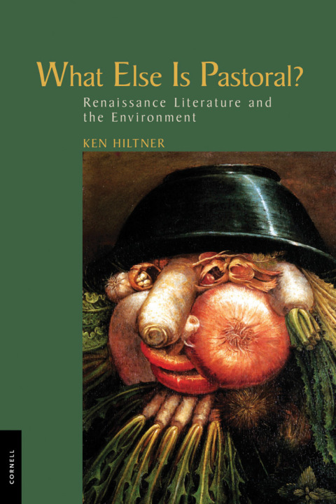 Cover image for book What Else Is Pastoral?