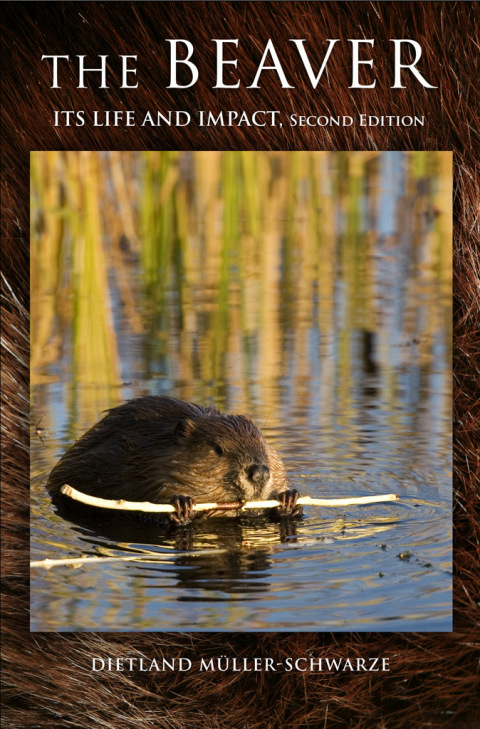 Cover image for book The Beaver