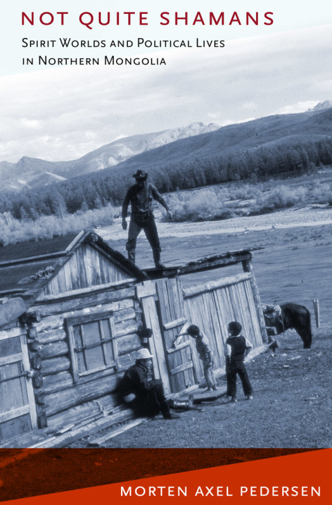 Cover image for book Not Quite Shamans