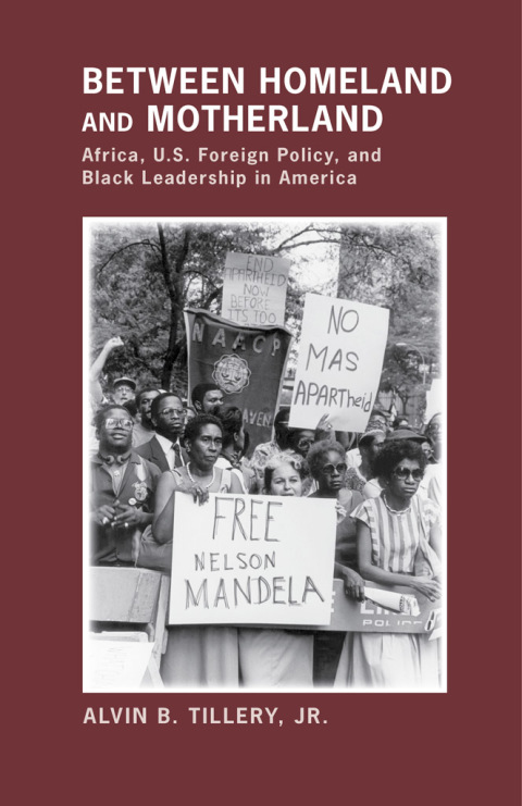 Cover image for book Between Homeland and Motherland