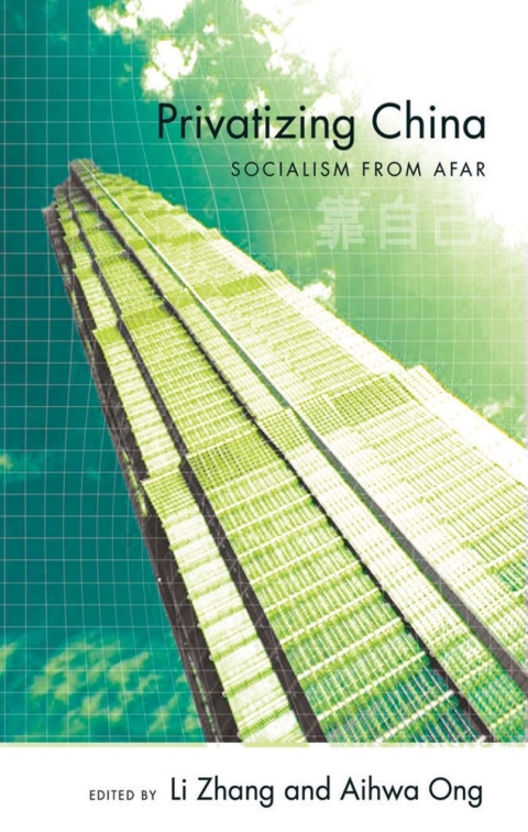 Cover image for book Privatizing China