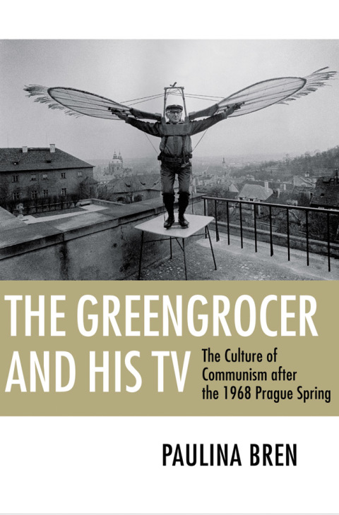 Cover image for book The Greengrocer and His TV