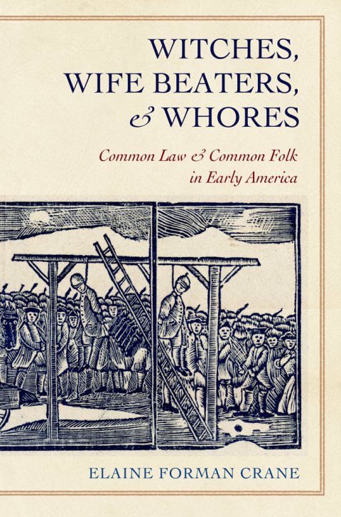 Cover image for book Witches, Wife Beaters, and Whores