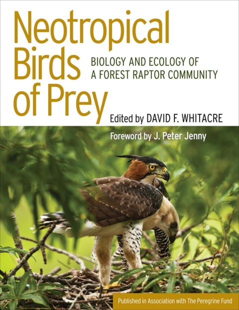 Cover image for book Neotropical Birds of Prey