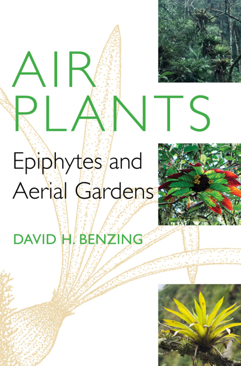 Cover image for book Air Plants
