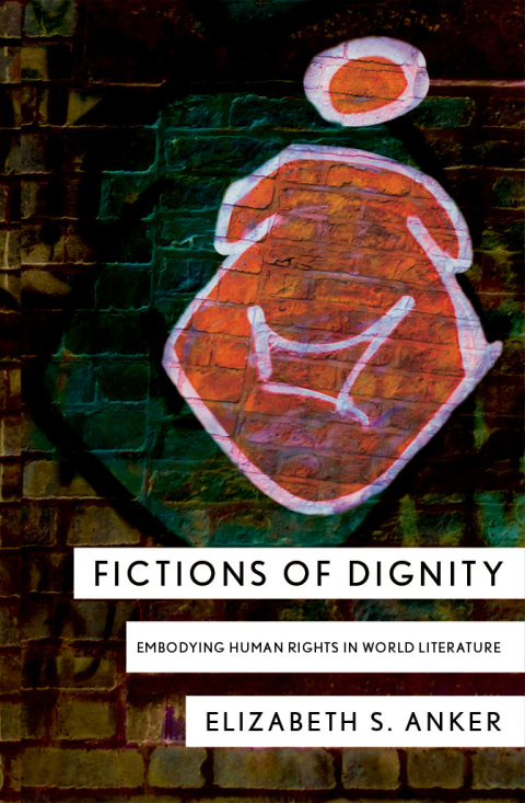 Cover image for book Fictions of Dignity