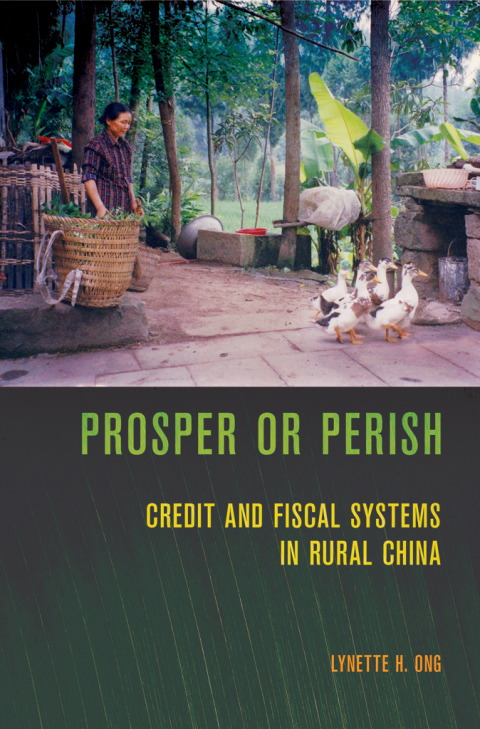 Cover image for book Prosper or Perish