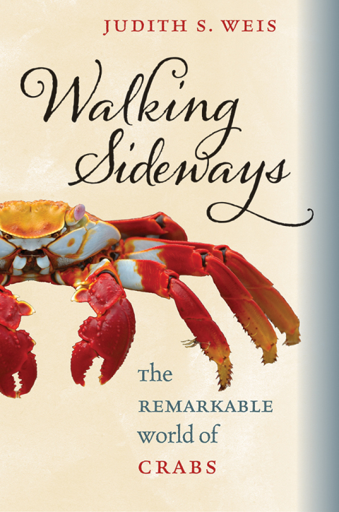 Cover image for book Walking Sideways