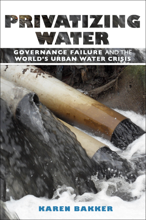 Cover image for book Privatizing Water