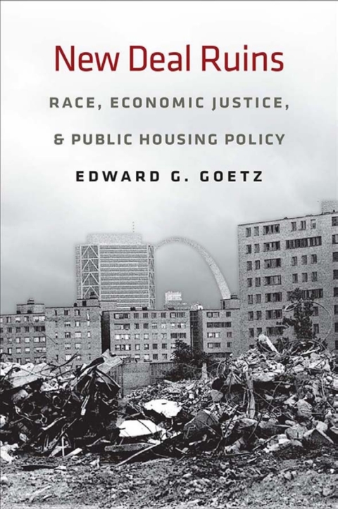 Cover image for book New Deal Ruins