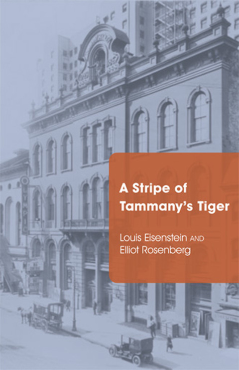 Cover image for book A Stripe of Tammany's Tiger