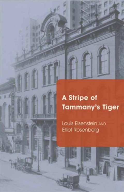 Cover image for book A Stripe of Tammany's Tiger