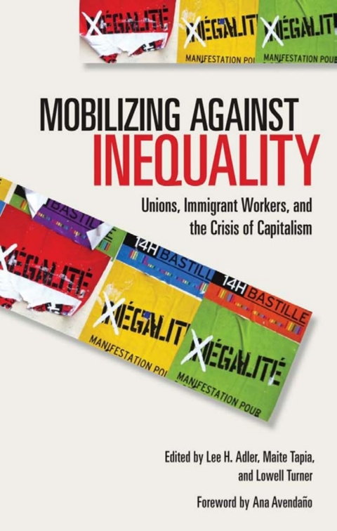 Cover image for book Mobilizing against Inequality