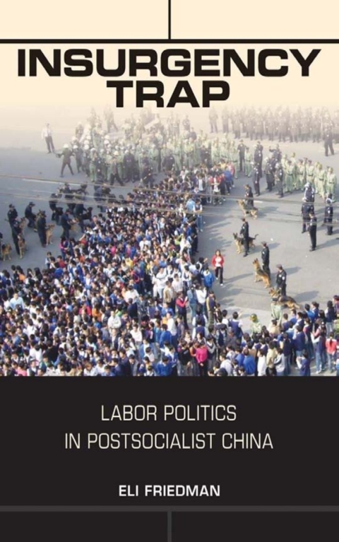 Cover image for book Insurgency Trap