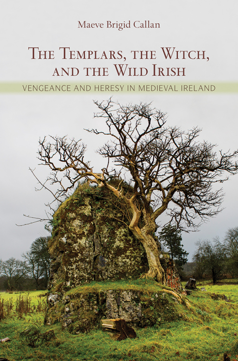 Cover image for book The Templars, the Witch, and the Wild Irish