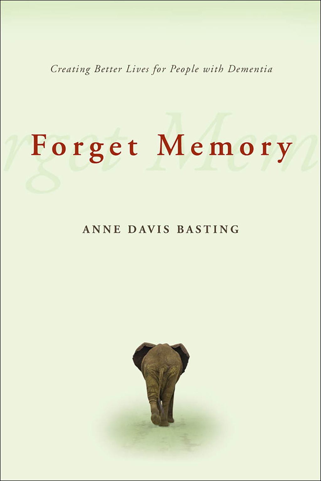 Forget Memory (eBook)