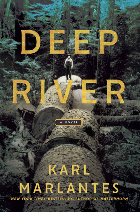 Cover image for book Deep River