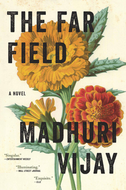 Cover image for book The Far Field