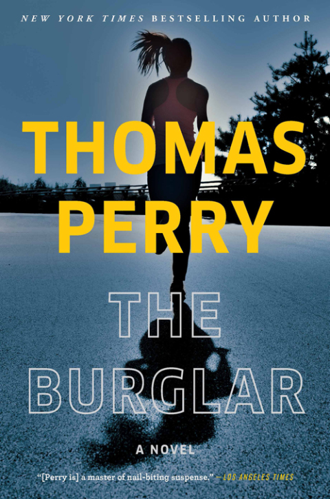 Cover image for book The Burglar
