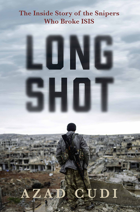 Cover image for book Long Shot
