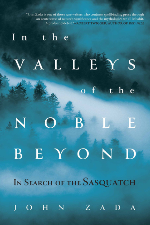 Cover image for book In the Valleys of the Noble Beyond