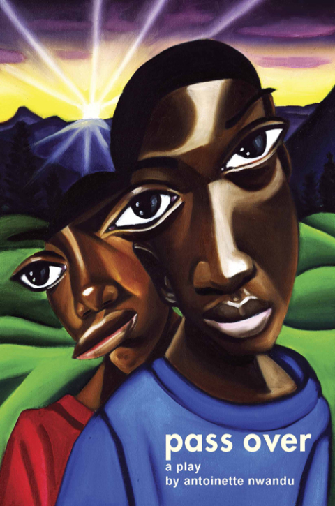 Cover image for book Pass Over