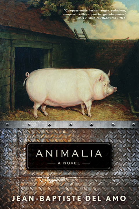 Cover image for book Animalia