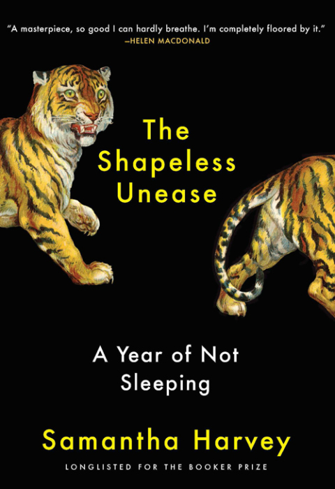 Cover image for book The Shapeless Unease