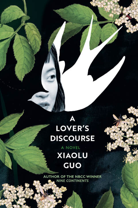 Cover image for book A Lover's Discourse
