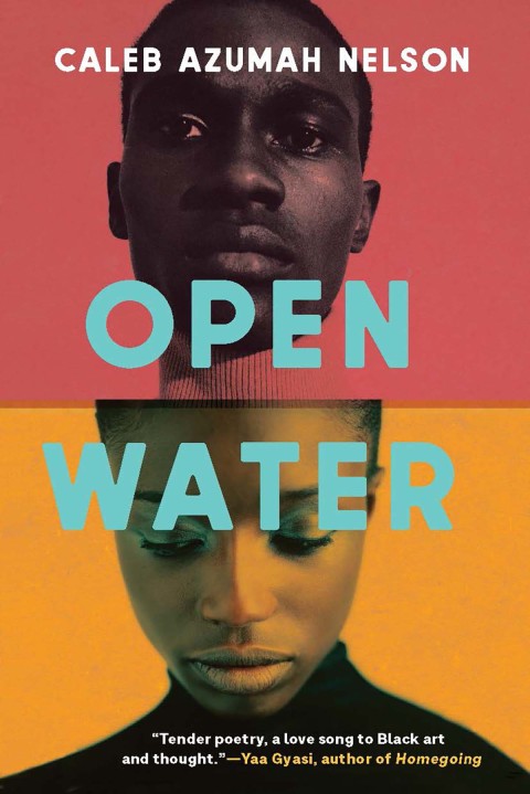 Cover image for book Open Water
