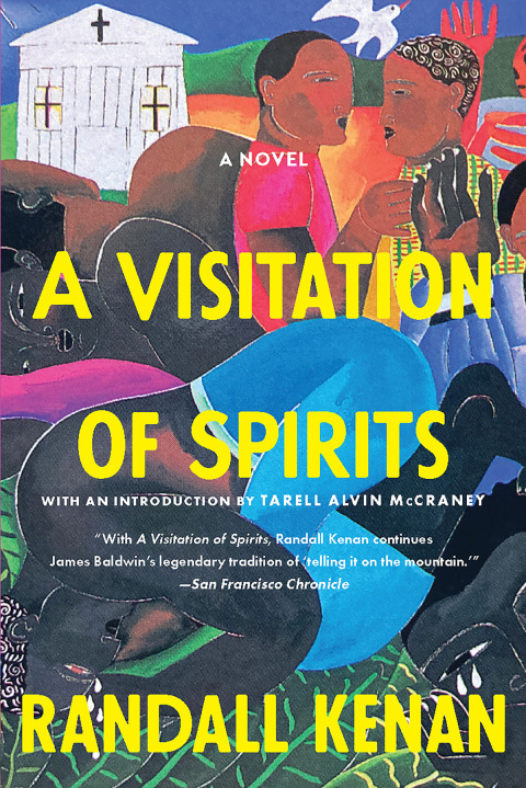 Cover image for book A Visitation of Spirits