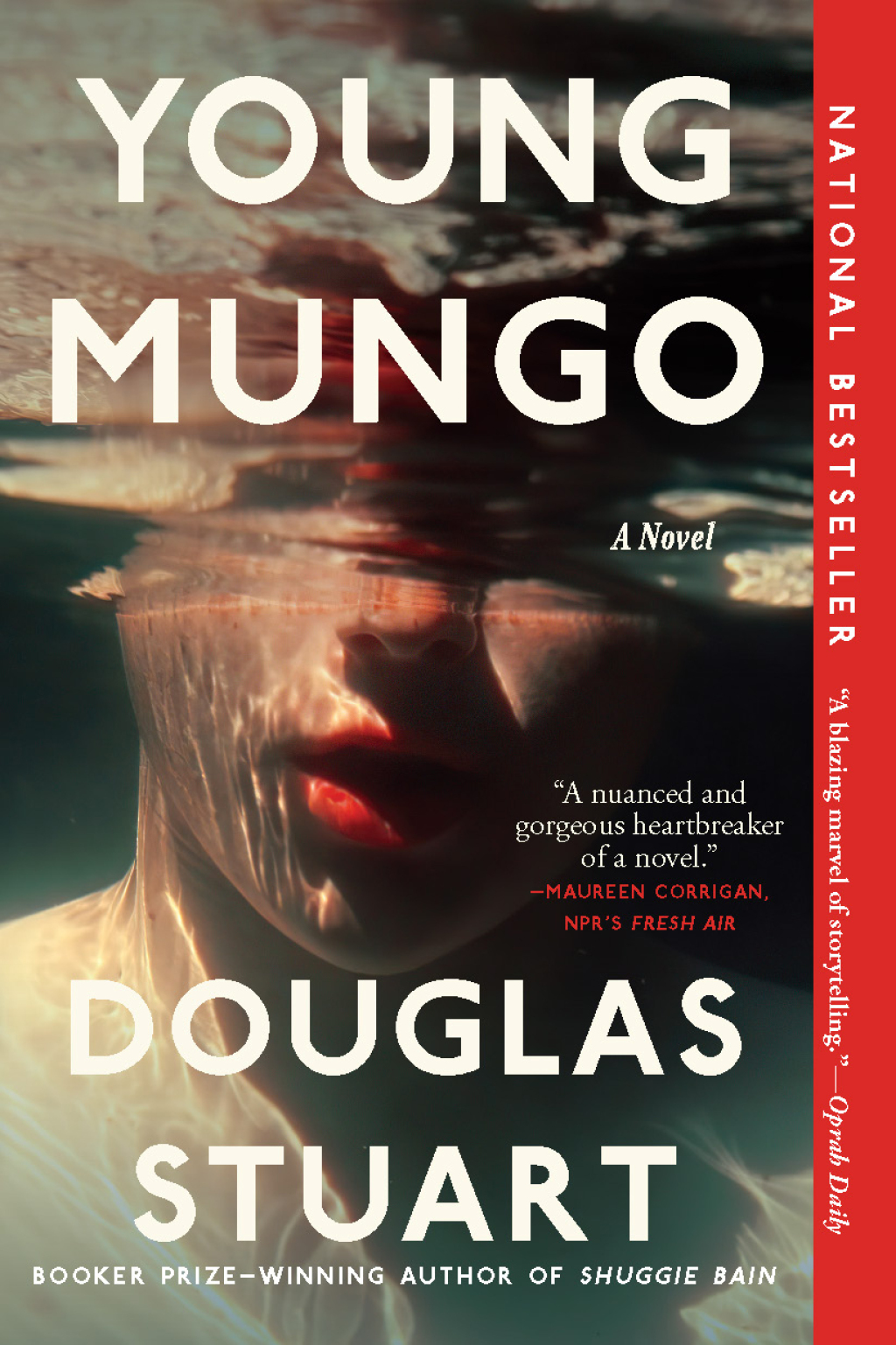 Reflowable Young Mungo; $19.98
