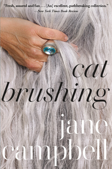 Cover image for book Cat Brushing