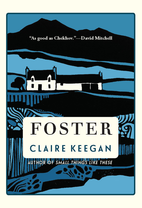 Cover image for book Foster