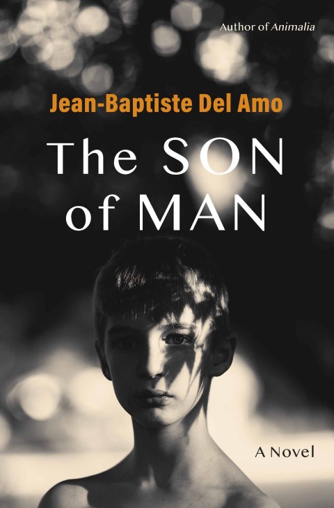 Cover image for book The Son of Man