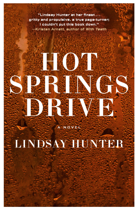 Cover image for book Hot Springs Drive