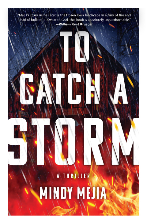 Cover image for book To Catch a Storm