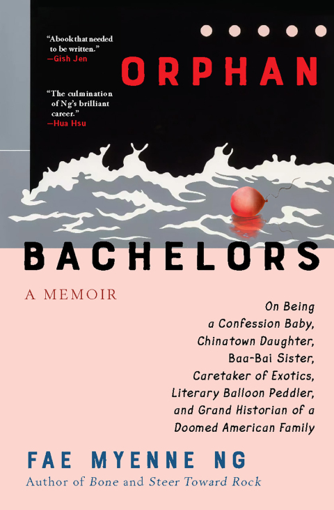 Cover image for book Orphan Bachelors