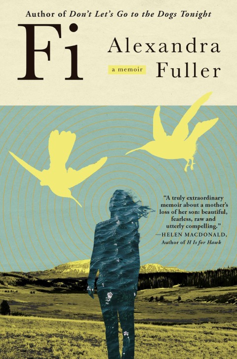Cover image for book Fi