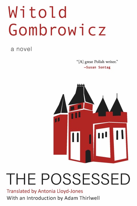 Cover image for book The Possessed