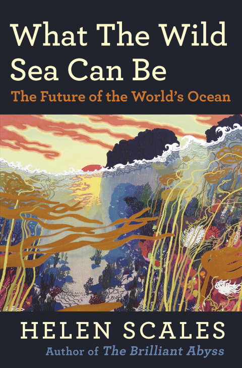 Cover image for book What the Wild Sea Can Be