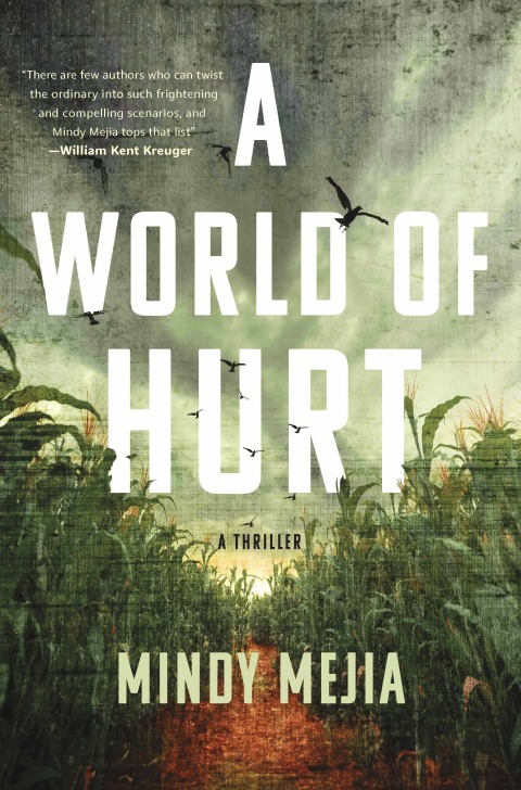 Cover image for book A World of Hurt