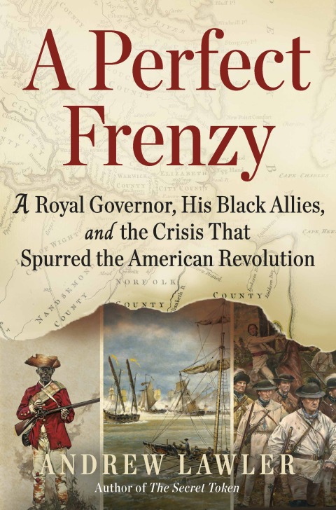 Cover image for book A Perfect Frenzy