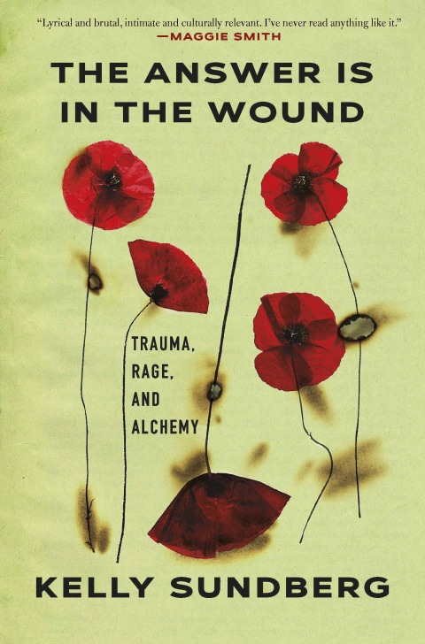 Cover image for book The Answer Is in the Wound
