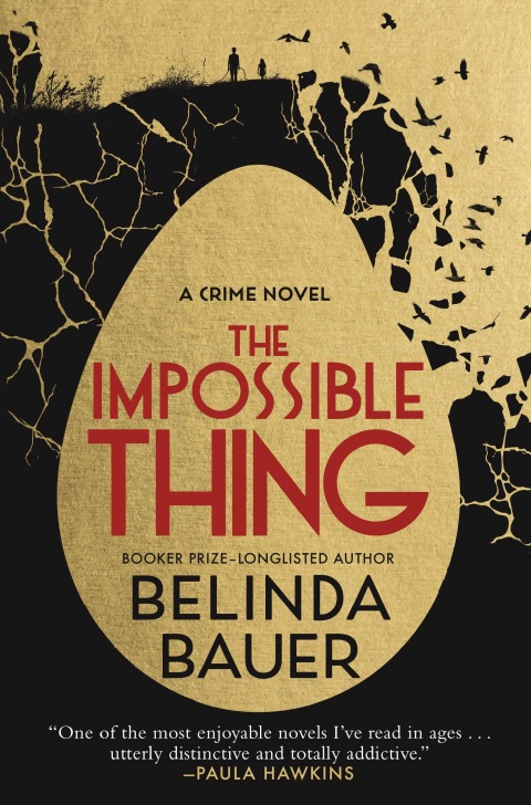 Cover image for book The Impossible Thing