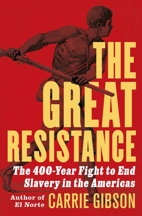 Cover image for book The Great Resistance