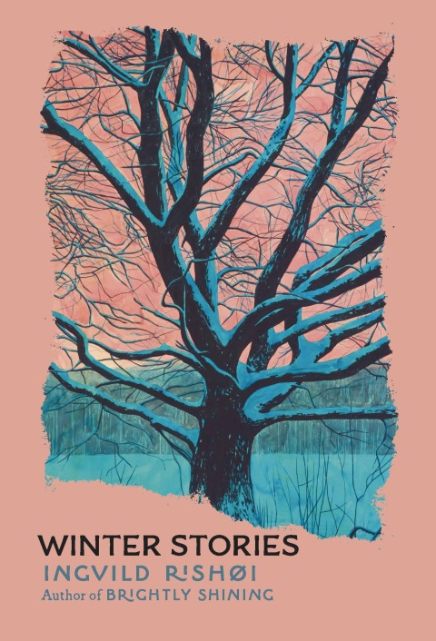Cover image for book Winter Stories