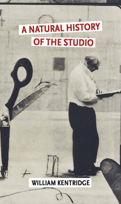 Cover image for book A Natural History of the Studio