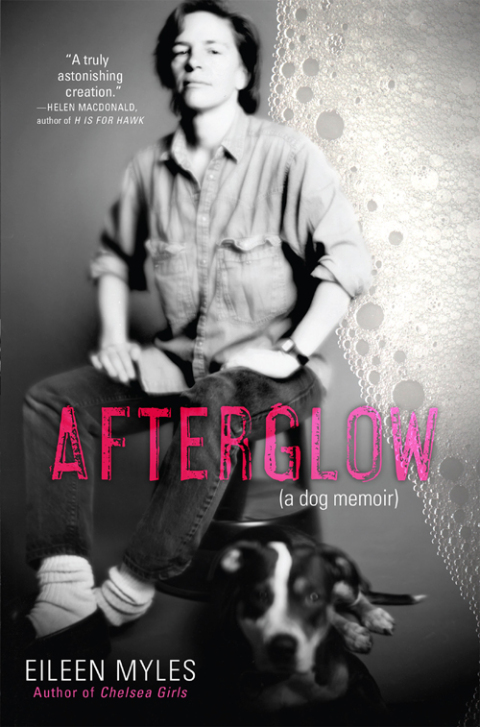 Cover image for book Afterglow