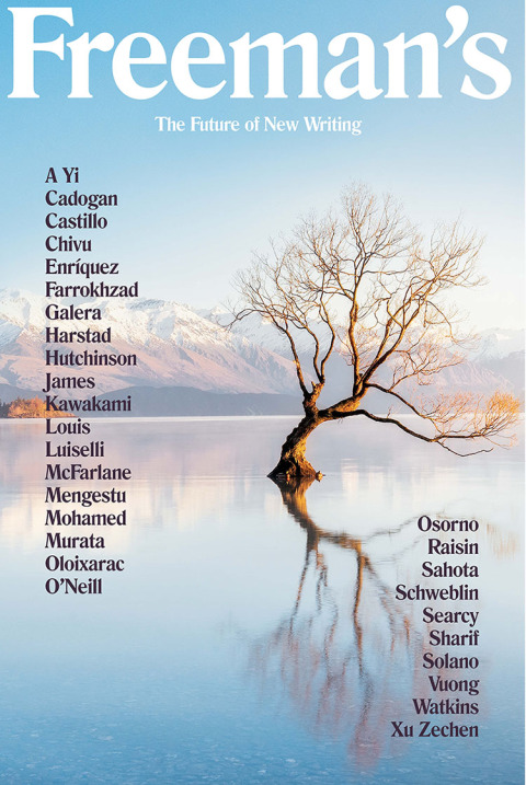 Cover image for book Freeman's: The Future of New Writing